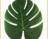 Am Beliebtesten Aytai 12pcs 35x29cm Artificial Tropical Palm Leaves for