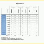 Am Beliebtesten Paarweiser Vergleich Nutzwertanalyse Incl Excel Vorlage