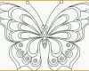 Am Beliebtesten Schmetterling Malvorlage 04 Vorlagen Zeichnen