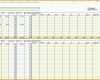 Angepasst Excel 2010 Eingabemaske Vorlage – De Excel