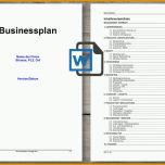 Atemberaubend Businessplan Vorlage Schweiz Word Kostenloser Download