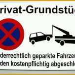 Atemberaubend Parkverbot Der Falschparkierer Im Recht News Zürich