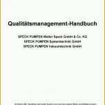 Atemberaubend Qualitätsmanagement Handbuch Pdf