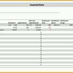 Außergewöhnlich Inventarliste Vorlage Excel format