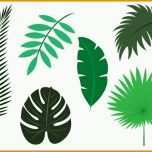 Außergewöhnlich Vector Set Von Palm Blätter Kostenlose Vektor Kunst