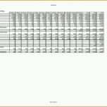 Beeindruckend Liquiditätsplanung Excel Vorlage – Werden