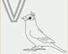Beeindruckend Tiere Malen Vorlagen Süß Vogel Ausmalbild Buchstaben Malen