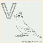Beeindruckend Tiere Malen Vorlagen Süß Vogel Ausmalbild Buchstaben Malen