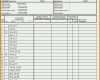 Bemerkenswert Vda Label Excel Vorlage Luxus Lastenheft Vorlage Excel