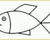 Bemerkenswert Vorlagen Zum Ausdrucken Ausmalbilder Fisch Malvorlagen 4