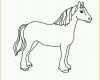 Einzahl Pferde Zeichnungen Vorlagen Luxus Pferd Bild Malvorlage
