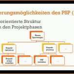 Einzahl Projektmanagement Projektstrukturplan Psp