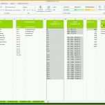 Einzahl Projektplan Excel