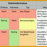 Einzahl Stakeholdermanagement Planung Und Umsetzung