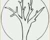 Exklusiv Blätter Vorlagen Zum Ausschneiden Luxus Baum Ohne Blaetter