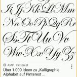 Exklusiv Kalligraphie Schriftzug Schreiben Schrift Füller