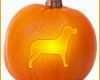 Fantastisch Halloween Kürbis Schnitzen Vorlagen Hund Ausschneiden