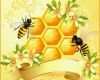 Fantastisch Honig Etiketten Vorlagen Kostenlos Neu Eierlikör — Rezepte