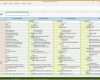 Faszinieren Multiprojektmanagement Excel Vorlage – De Excel