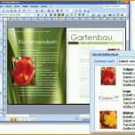 Großartig Microsoft Publisher 2007 Deutsch Amazon software