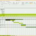 Großartig Projektplan Excel Muster