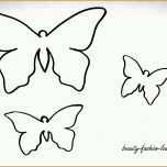 Größte Bildergebnis Für Schmetterlinge Vorlage Zum Ausdrucken