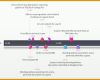 Größte Fice Timeline Projektplan Kostenlose Zeitleistenvorlagen