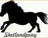 Hervorragen 2 X Auto Aufkleber Shetlandpony &quot;shetland Pony &quot; Car