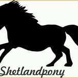 Hervorragen 2 X Auto Aufkleber Shetlandpony &quot;shetland Pony &quot; Car