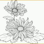 Hervorragen Detaillierte Schoene Blume Ausmalbild &amp; Malvorlage Blumen