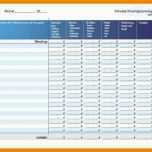 Hervorragend 9 Haushaltsbuch Excel Vorlage Kostenlos 2013