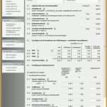 Hervorragend formblatt 221 Excel Vorlage Hübsch Efb Preis formblätter