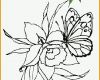 Ideal Blumen Vorlagen 1 Fensterbild Pinterest