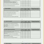 Limitierte Auflage 11 Fragebogen Vorlage Excel