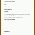 Limitierte Auflage 9 Arbeitsvertrag Kündigungsschreiben Muster