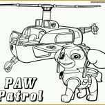 Limitierte Auflage Bügelperlen Vorlage Paw Patrol Beruhmt Paw Patrol Schild