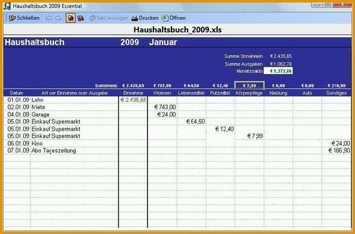Limitierte Auflage Excel Vorlage Haushaltsbuch 2009 Download