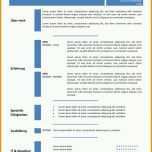 Limitierte Auflage Lebenslauf Vorlage In Der Tabelle Blau Cv &amp; Bewerbung
