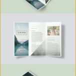 Modisch A Beautiful Multipurpose Tri Fold Dl Brochure Template