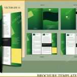Modisch Broschüre Design Vorlage — Stockvektor © Miobra
