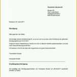 Neue Version Perfekt Vorlage Brief Kündigung Vertrag astro Labium Press