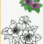 Original Blumen Vorlagen 1 Draw Flowers