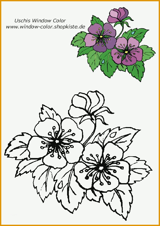 Original Blumen Vorlagen 1 Draw Flowers