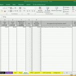 Original Excel Vorlage Einnahmenüberschussrechnung EÜr Pierre