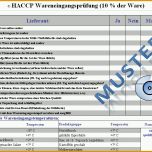 Original Haccp Checklisten Für Küchen Haccp Excel formular