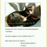 Original Katze Vermisst Vorlage – Vorlagen 1001