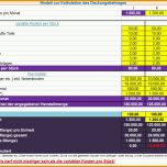 Original Modell Zur Kalkulation Des Deckungsbeitrages Excel
