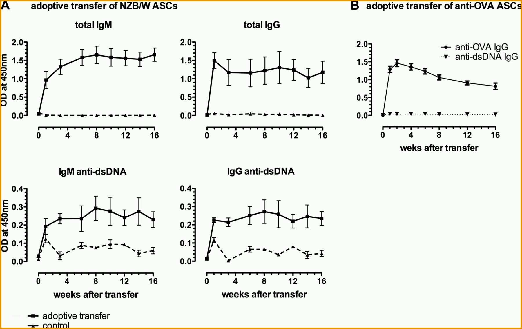 usenet kundigen email probe autoantibo s from long lived memory plasma cells of nzb w mice