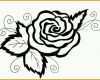 Perfekt Ausmalen Malvorlagen Gratis Ausdrucken Rose Blumen Motive