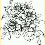 Perfekt Blumenmotive Zum Ausmalen Stickerei Pinterest